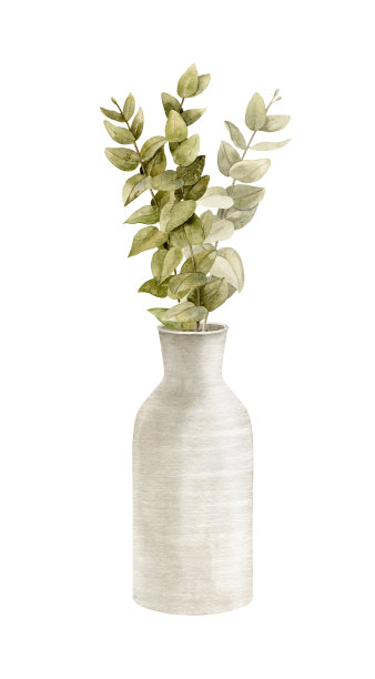 白色花瓶里的桉树水彩花束。手绘植物插图图片下载