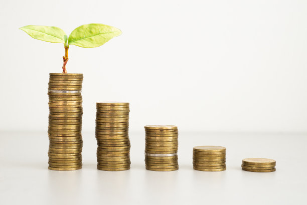 硬币堆叠植物绿叶生长在顶部的硬币在白色背景。理财、投资和省钱的概念。ESG环境社会治理。启动。图片下载