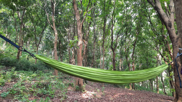 用吊床绑在森林里图片下载