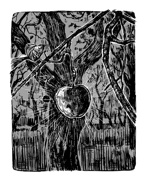 花园里树枝上的苹果。秋季单色手绘矢量插图。孤立在白色上的抽象图画。复古雕刻风格的艺术版画。图片下载