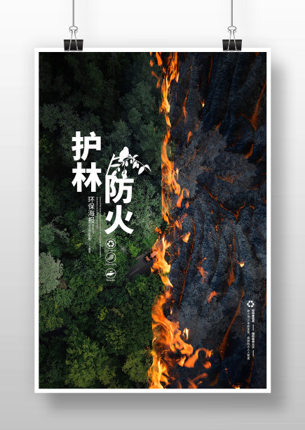 写实风护林防火宣传海报图片下载