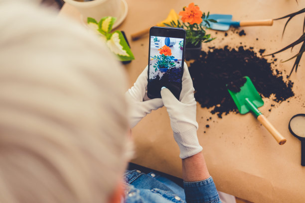美丽成熟的女园丁正在用智能手机拍摄绿色植物和花朵。家居花园工作场所家居花园中的植物，家居花园中的农业。图片下载