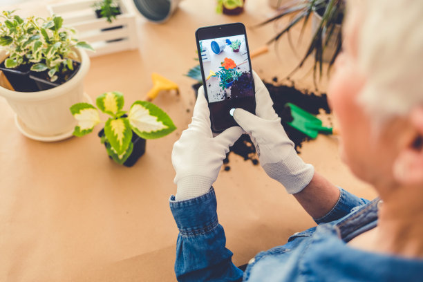 美丽成熟的女园丁正在用智能手机拍摄绿色植物和花朵。家居花园工作场所家居花园中的植物，家居花园中的农业。图片下载