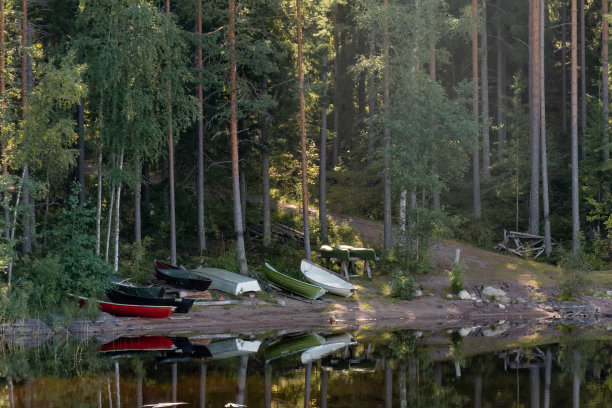 芬兰海滩上的一群小船，松树的树干倒映着湖水。图片下载