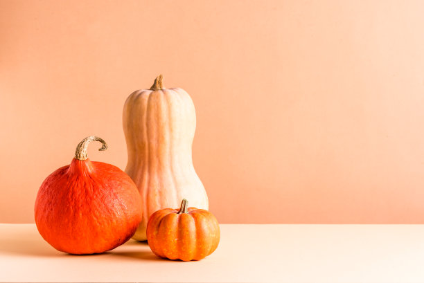 米色背景的南瓜素材图片