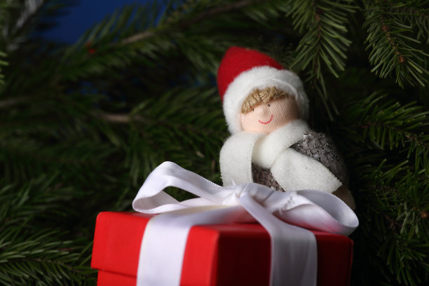 圣诞精灵与圣诞礼物在毛皮树早午餐。冬天的概念图片下载