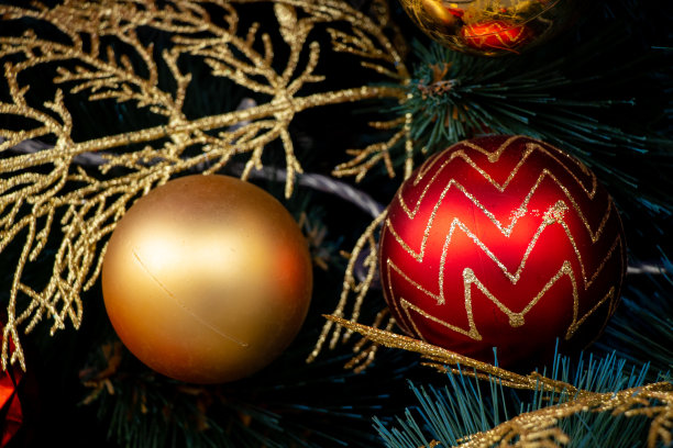 在第聂伯市公园里的圣诞树的近景图片下载