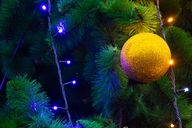 街道上的圣诞树作为背景图片下载