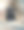 狗的鼻子特写图片下载