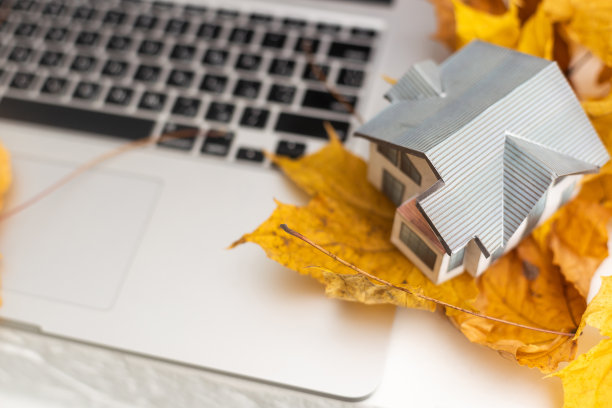 干燥的秋叶和笔记本电脑和玩具屋图片下载