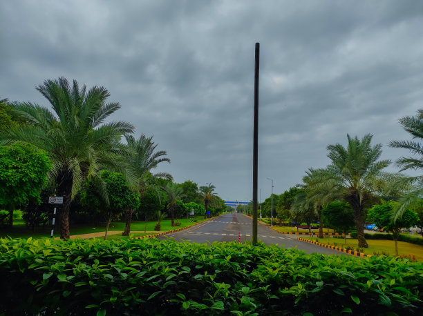 用树的照片拍摄印度公路和天气季节的云彩图片下载