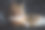 一只欧洲短毛猫躺在黑色皮沙发上的特写镜头图片下载