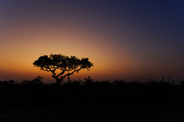 非洲的日出图片下载