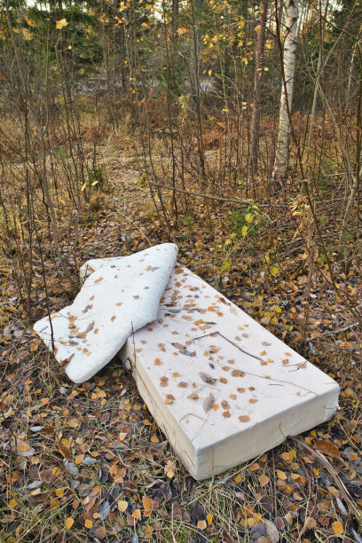 森林里废弃的旧床垫图片下载