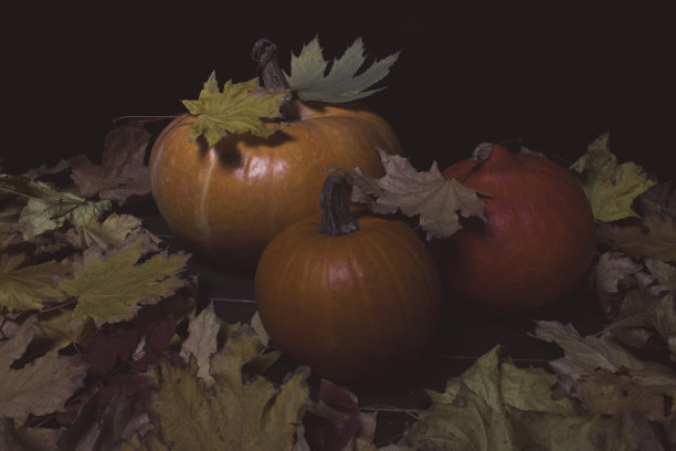 三个南瓜图片下载