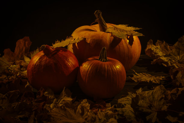 三个南瓜图片下载