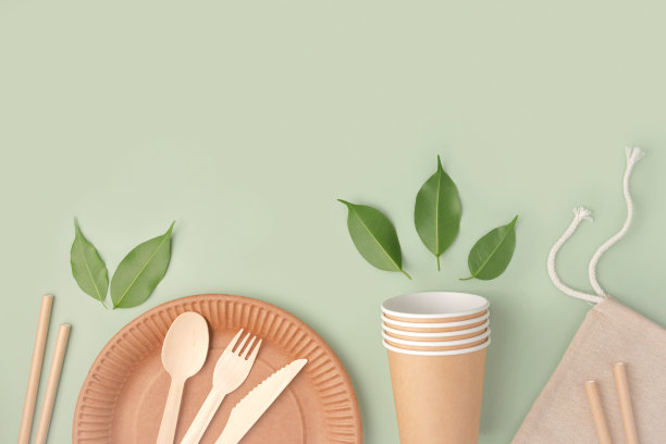 绿色背景的环保餐具。前视图。塑料免费套棕色纸器皿。街头食物可循环再造包装。“零浪费”Paperware。模型。一次性取出杯，木制餐具图片下载