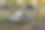 动物围栏前的老式传统手推车图片下载