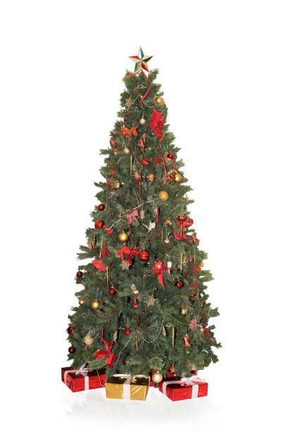 白色背景下的圣诞树图片下载