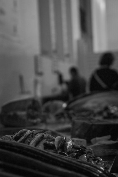 街市上鱼的垂直灰度图图片下载