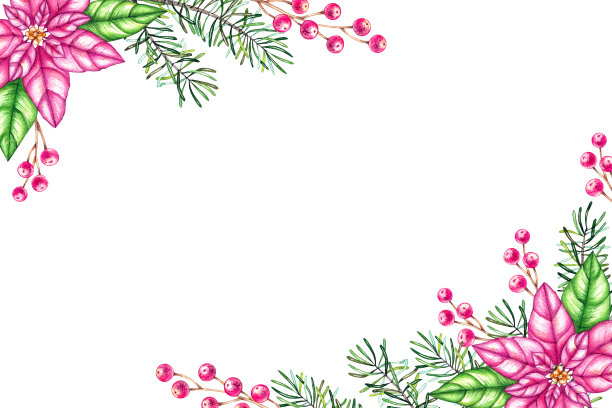 水彩背景与粉色和白色的圣诞植物图片下载
