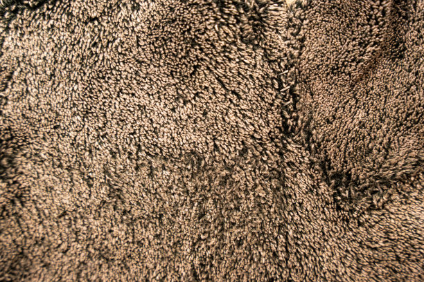 质地,毛皮的背景。文本的地方图片下载