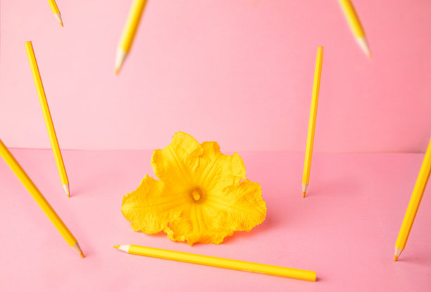 特写组成一个漂亮的黄色花和相同的颜色落下铅笔图片下载