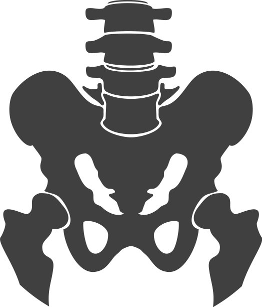 盆骨黑色象征人体结构图片下载