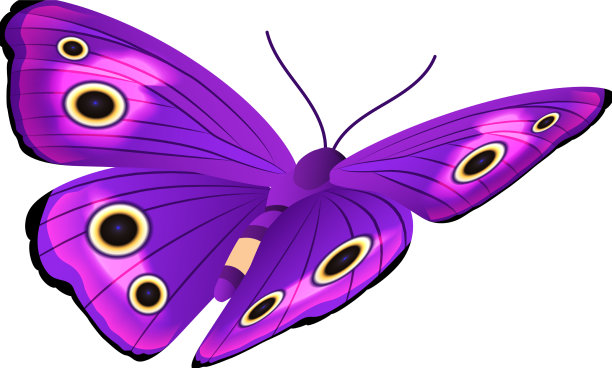 翅膀上有鲜艳图案的紫色蝴蝶图片下载