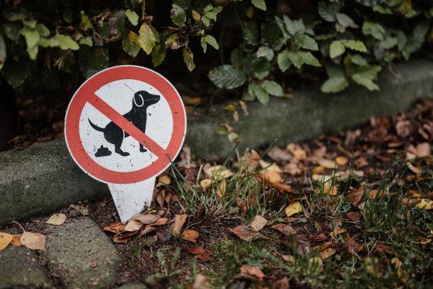 建议狗主人不要让狗在此拉屎的告示图片下载