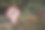 建议狗主人不要让狗在此拉屎的告示图片下载