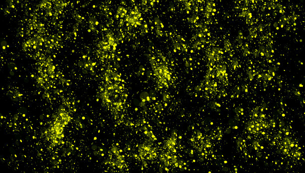 金色圆形飞溅点或闪闪发光的亮片无缝背景。手绘喷雾纹理图片下载