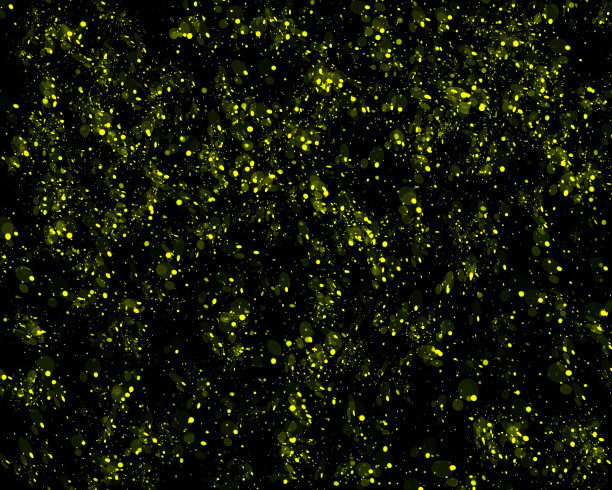 金色圆形飞溅点或闪闪发光的亮片无缝背景。手绘喷雾纹理图片下载