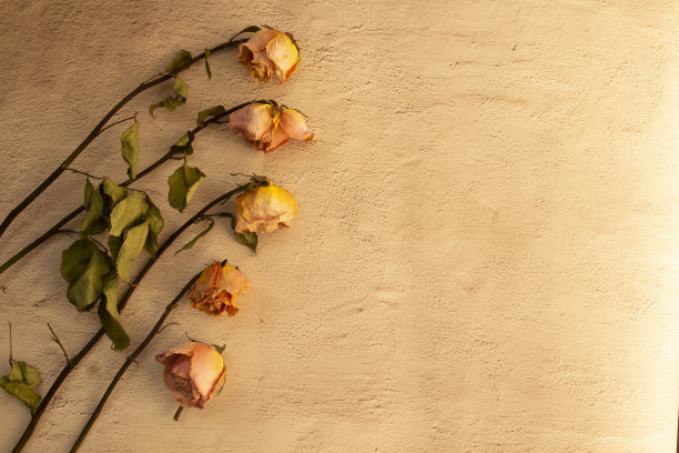 干花的背景在乡村质感的黄色和橙色调图片下载