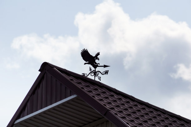 风向标是房屋屋顶上的鹰形图案。图片下载