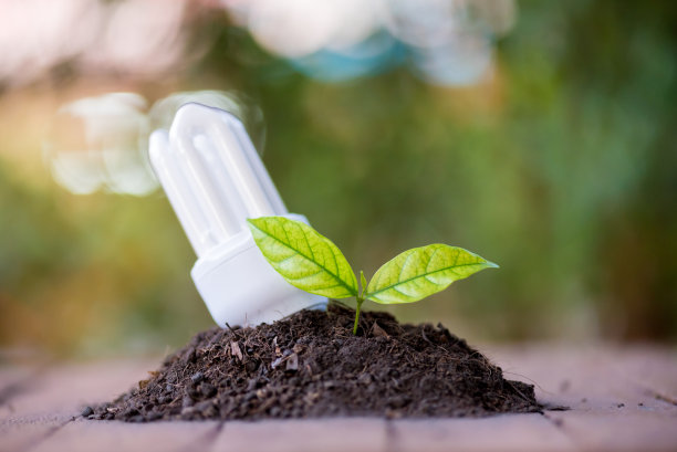 节能LED灯泡ECO与环境图片下载