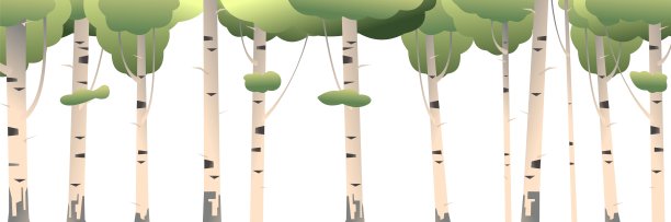 桦树的灌木丛。孤立的白色背景。夏季景观森林和树木。水平组合。自然的观点。卡通有趣的风格。平面设计。向量图片下载