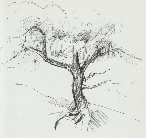 用黑色钢笔画木图。图片下载