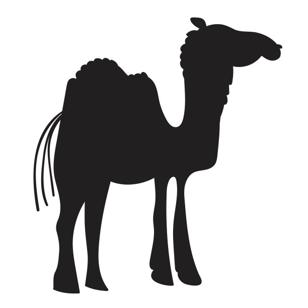 轮廓的动物。骆驼。黑色的颜色。图片下载