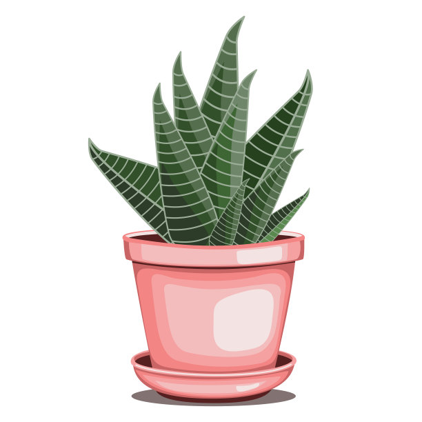 多汁斑马泥锅图片下载