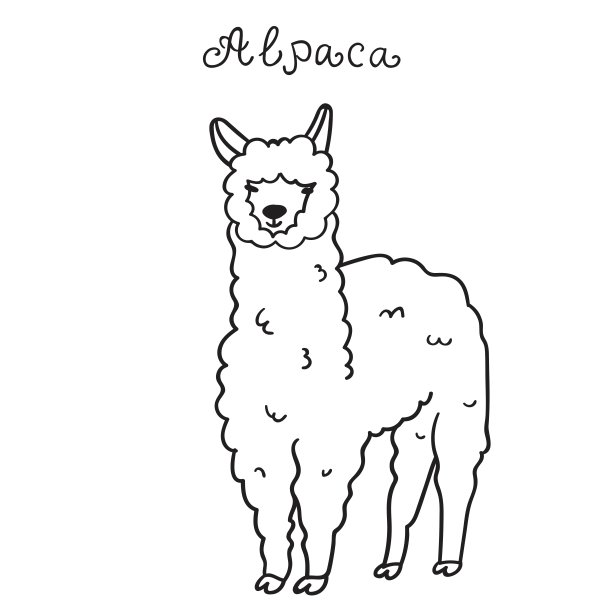 羊驼。平面设计。图片下载
