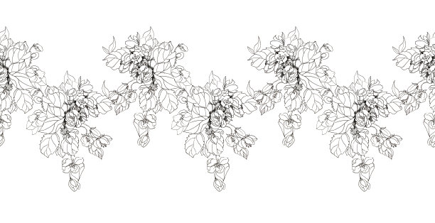 无缝边缘手绘黑线分枝与苹果花在白色背景。春天芬芳的花朵。繁茂的树叶为浪漫的庆祝。边境结婚或3月8日。包装,标签图片下载