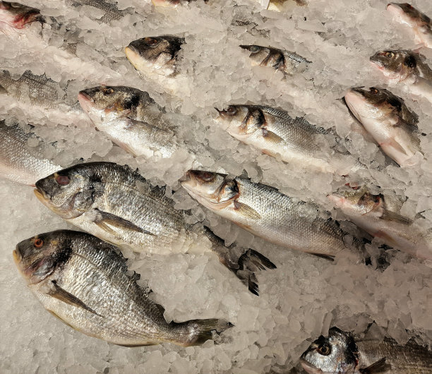 商店的货架上，冻鱼放在冰里图片下载