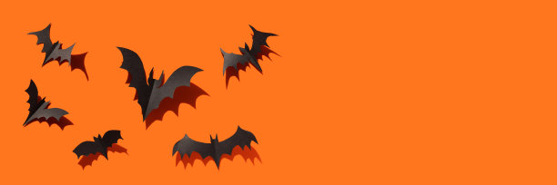 黑色蝙蝠近距离万圣节横幅复制空间图片下载