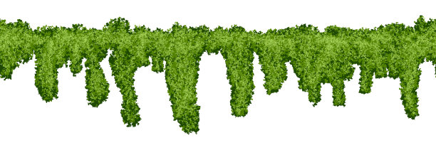 长水平无缝沼泽苔藓图案在白色背景图片下载