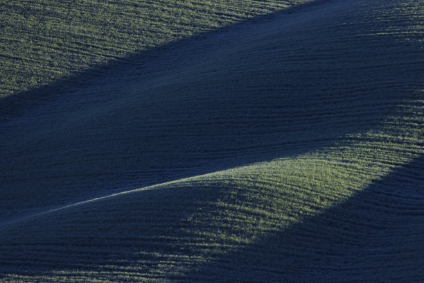 典型的托斯卡纳绿色田野的春天图片下载