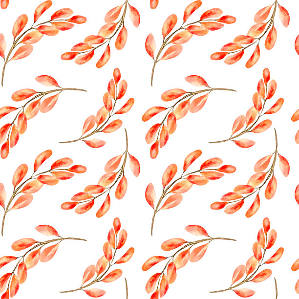 彩色秋枝水彩无缝图案在白色。图片下载