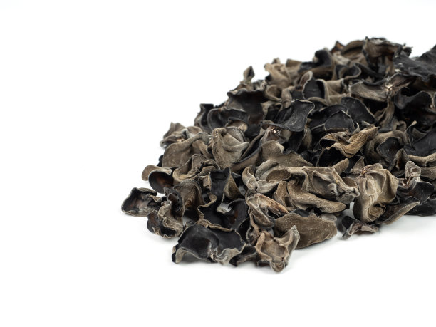 干黑木耳在白色背景图片下载