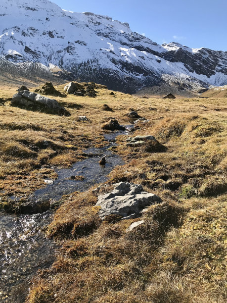 瑞士 - 伯尔尼州 - 恩斯特利根阿尔卑 - 阿德尔博登-图片下载