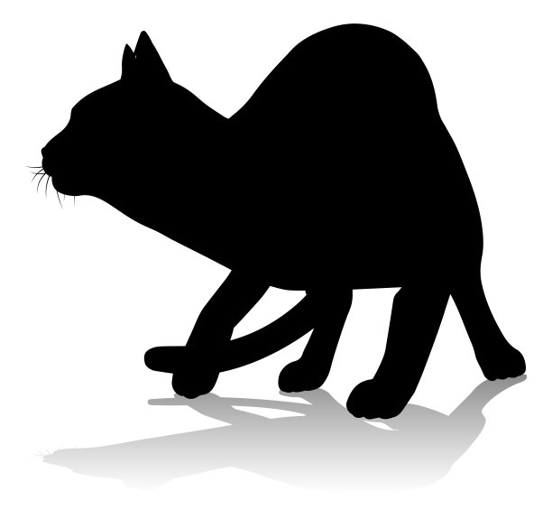 剪影猫宠物图片下载